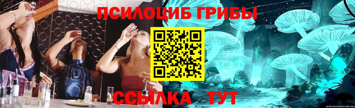 Галлюциногенные грибы Psilocybe  Вход с VPN  Елизово  Галлюциногенные грибы Magic Shrooms 